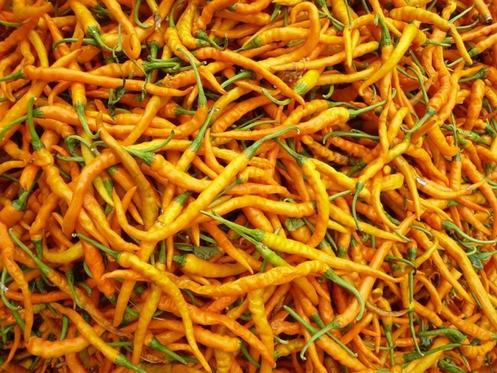 Introducing AI Fu Nuan Gong Wan: The Ultimate Solution for Cold Weather Comfort 1 17636934024714B4GRY8h2bw inpost image