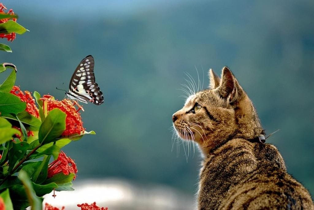 17642118044750ue9iitg8YG inpost image