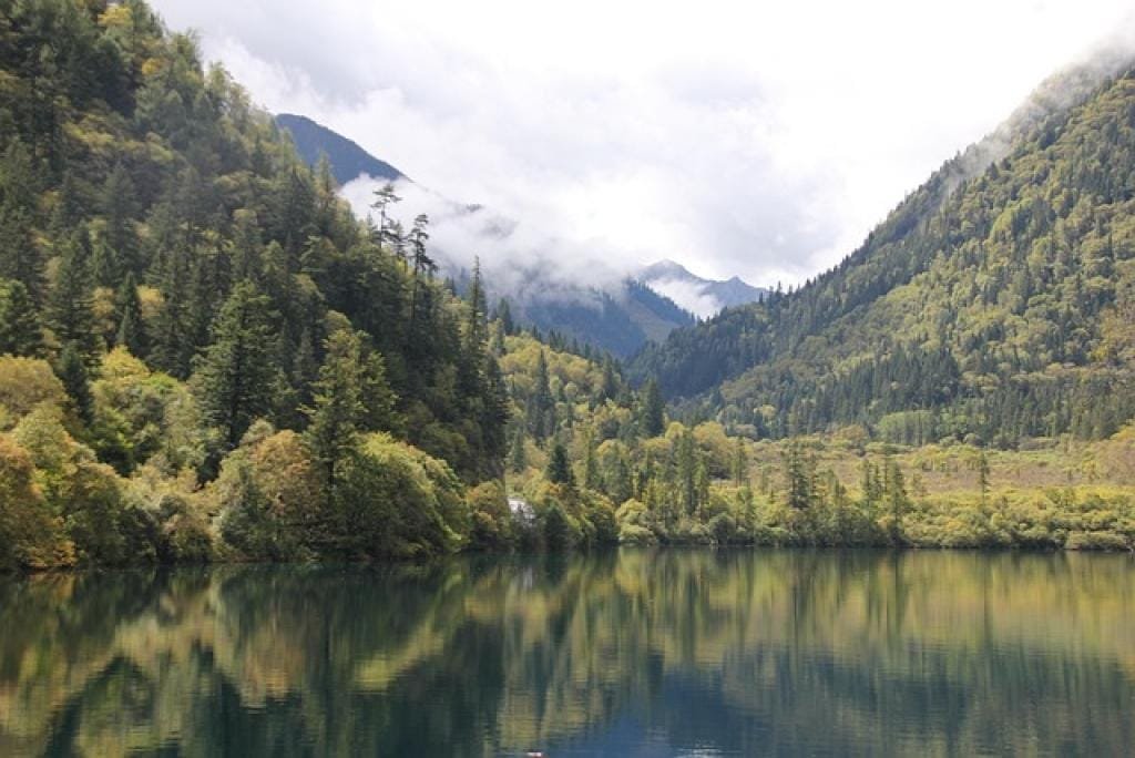 Discover the Secrets of Ci Zhu Wan: A Hidden Gem for Nature Lovers 1 17647253474786kapQShpRG3 inpost image