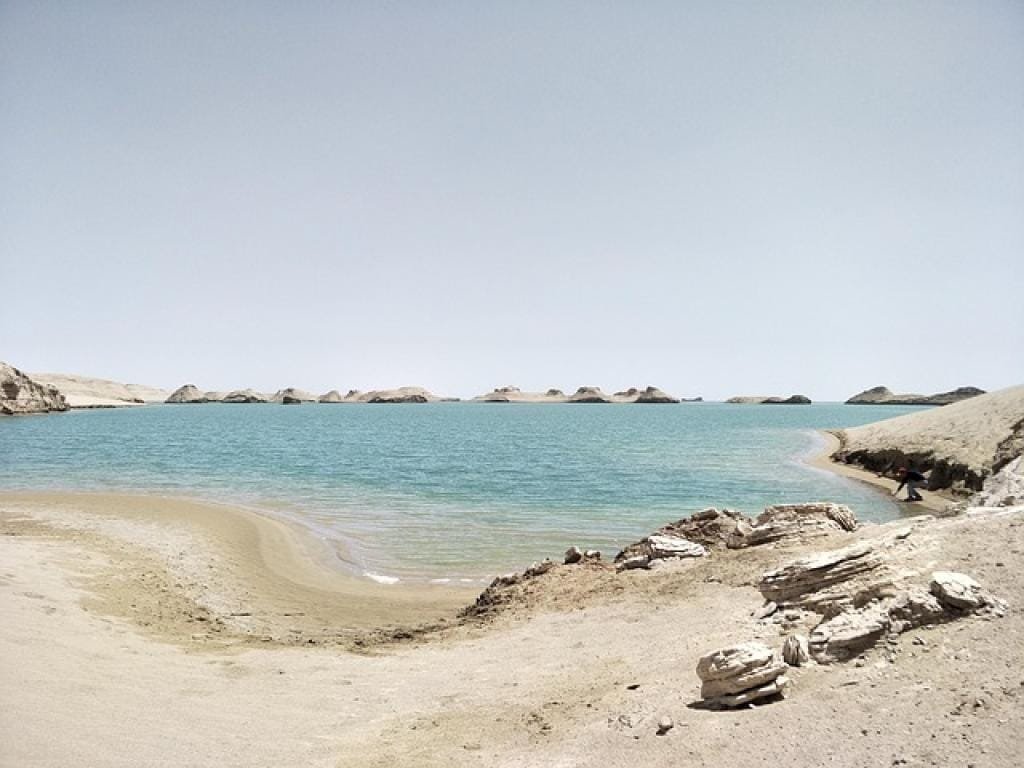 Dan Shen Yin: Exploring the Power of Traditional Chinese Medicine 1 176515980748178NJJmn15IA inpost image