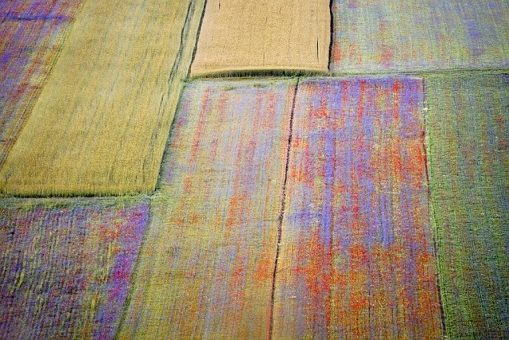 Unique Benefits of Di Gu Pi Yin for Health and Wellness 1 176542146848368HShwiQQpS inpost image