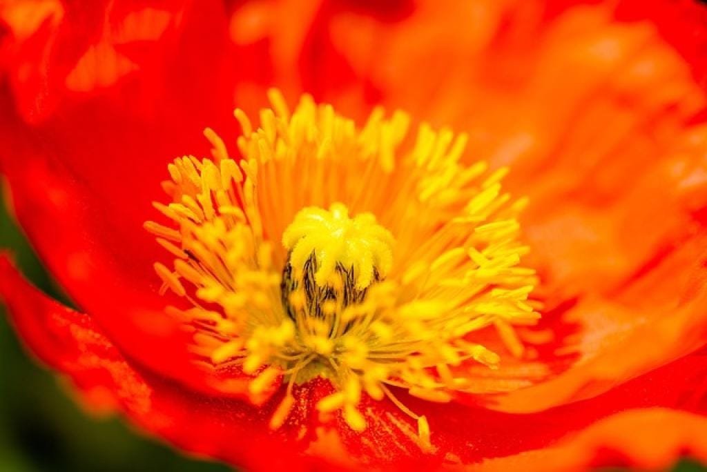 Unveiling the Mysteries of Di Yu San: A Comprehensive Guide 1 17655031284840DFSO2kz96i inpost image