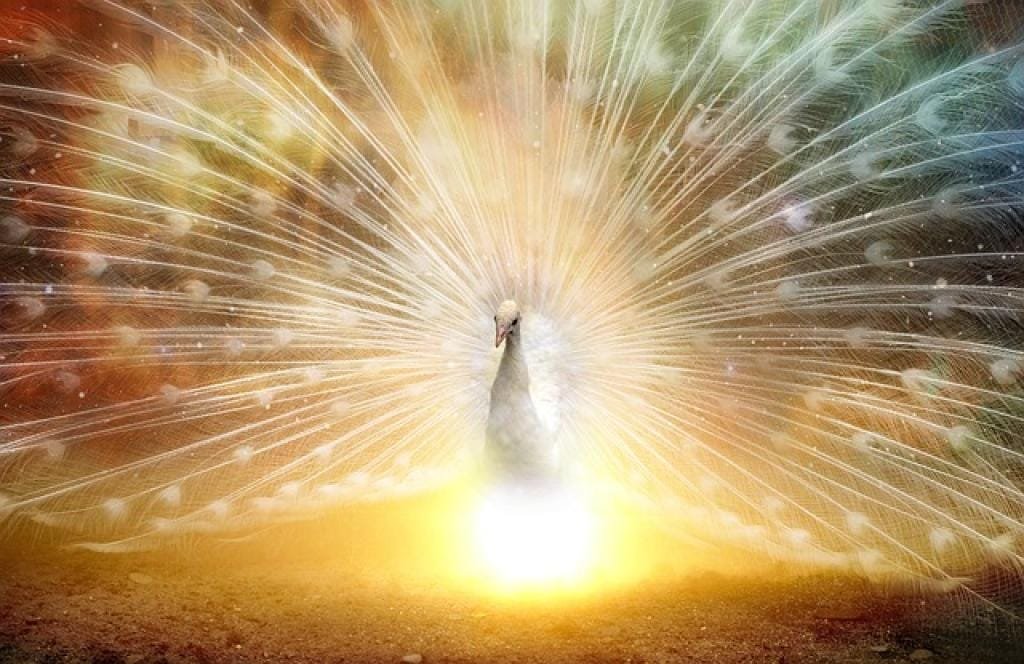 The Ultimate Guide to Feng San: Everything You Need to Know 1 17659330274869eiMLF5wESN inpost image