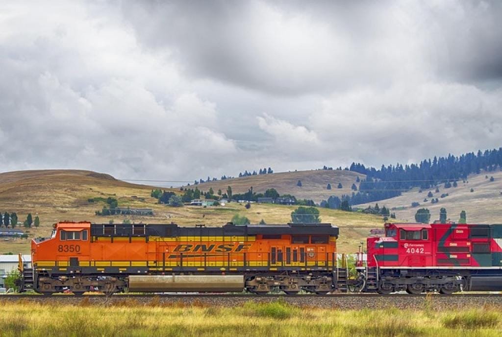 Exploring the Powers of Ge Gen Huang Lian Huang Qin Tang in Traditional Chinese Medicine 1 17661896474886ElEdZWDJ4h inpost image