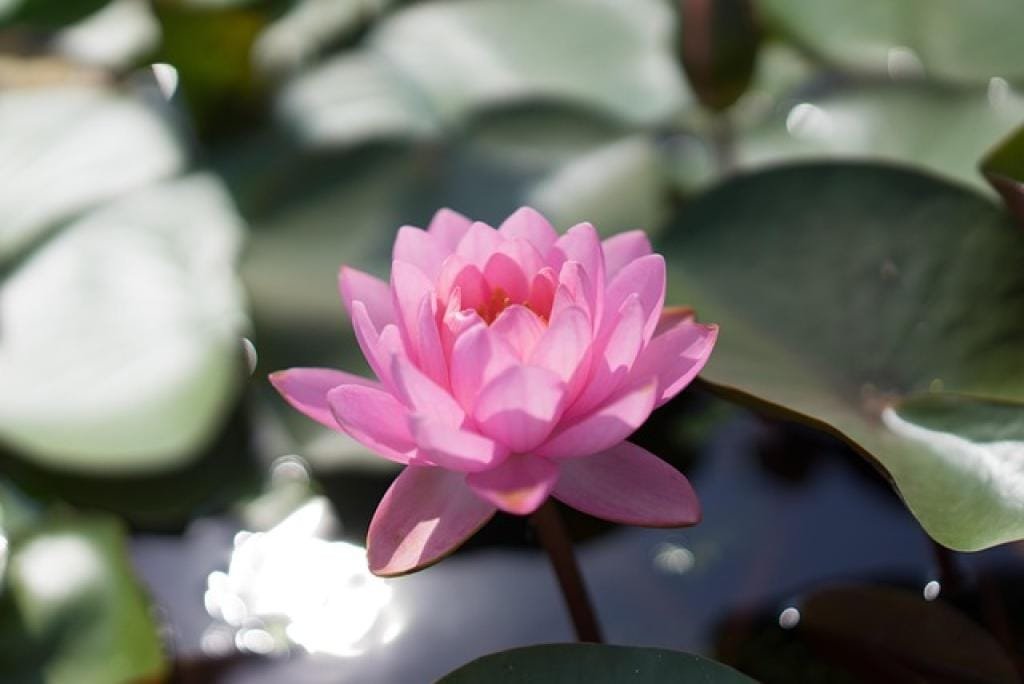 17664508284905juH3MX7mn8