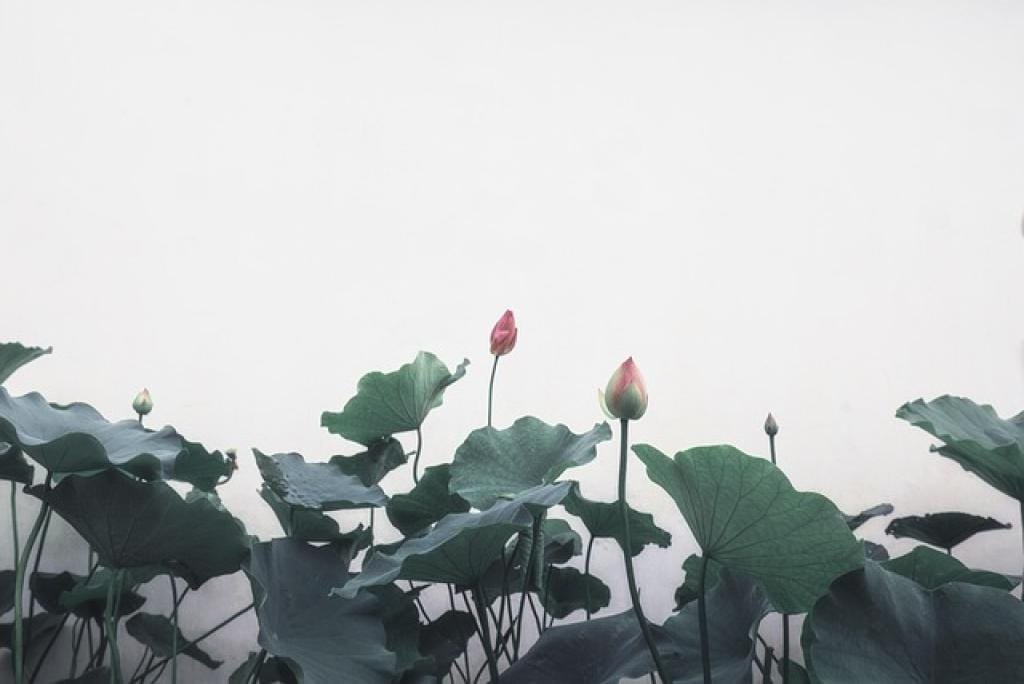 17667081044922EwufDRci3n inpost image