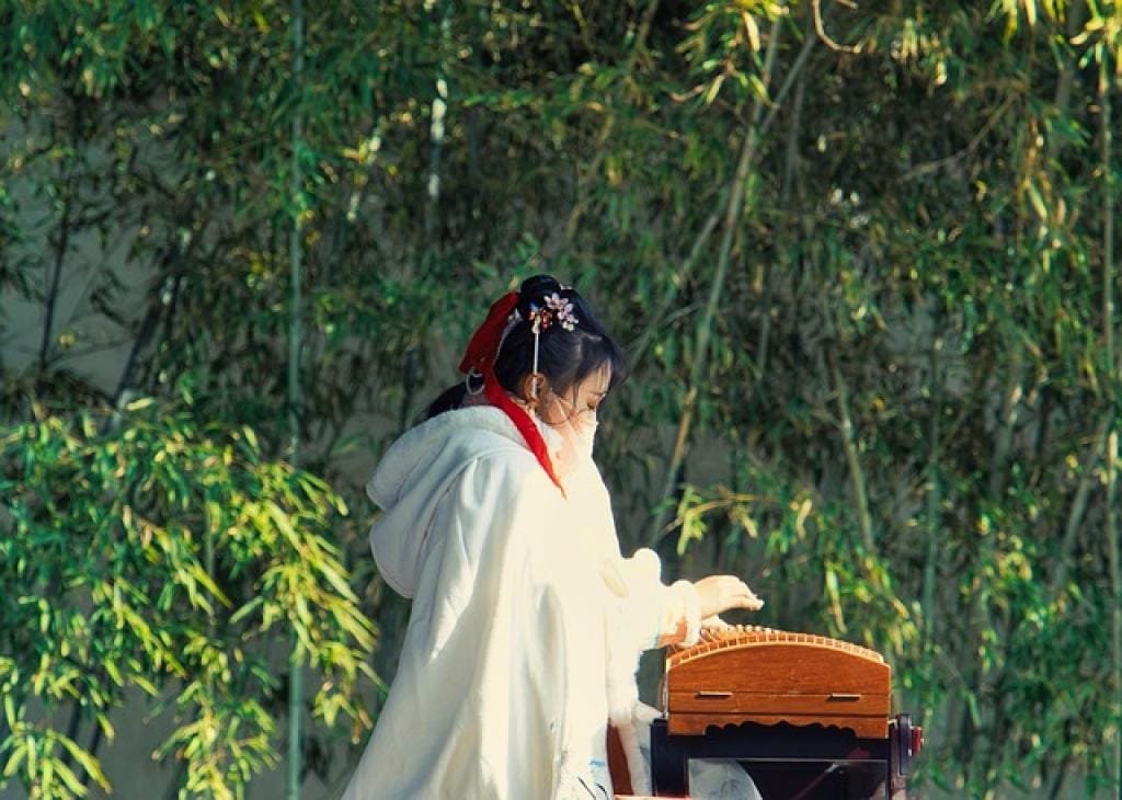 Huo Xiang Zheng Qi San: An Ancient Chinese Herbal Formula for Digestive Health 1 17672359224962vmLwiAXbdl inpost image