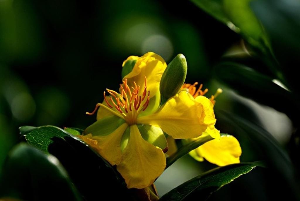 17674926644979pS7rHDCh3L inpost image