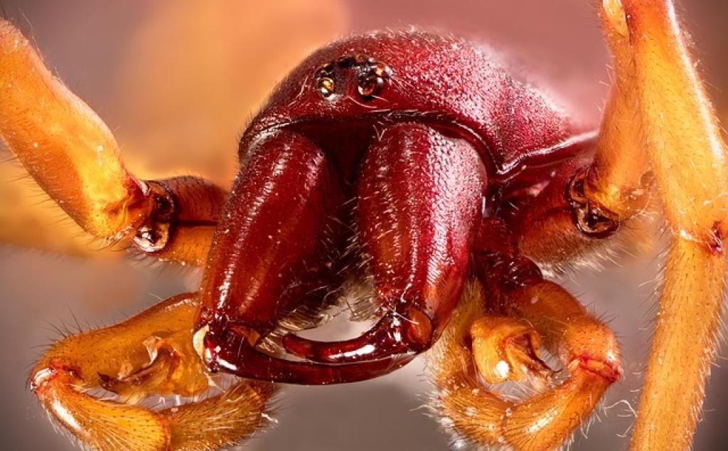 17679222675008E7r7zFGVbN inpost image