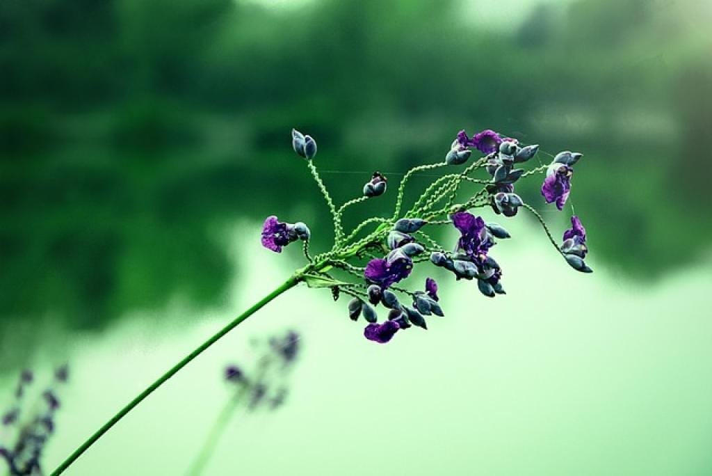 17680086025014aPzeImqLHB