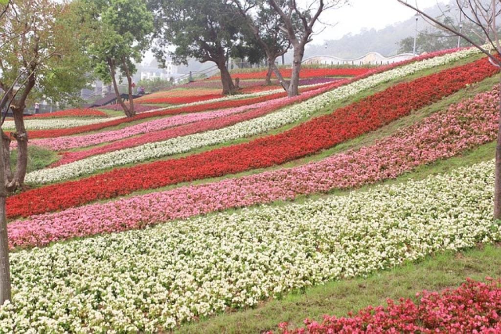 Unlocking the Secrets of Qi Bao Mei Ran Dan: A Comprehensive Guide 9 17687046625068JrRTJl8jaY