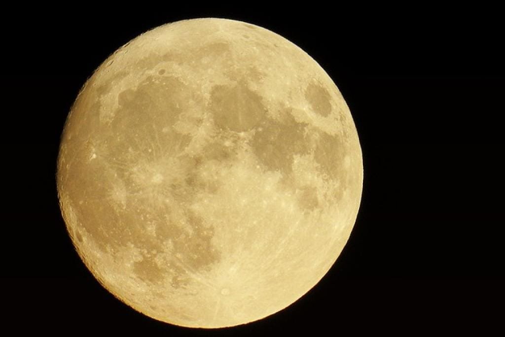 17688747655079JdWqOv3nIO