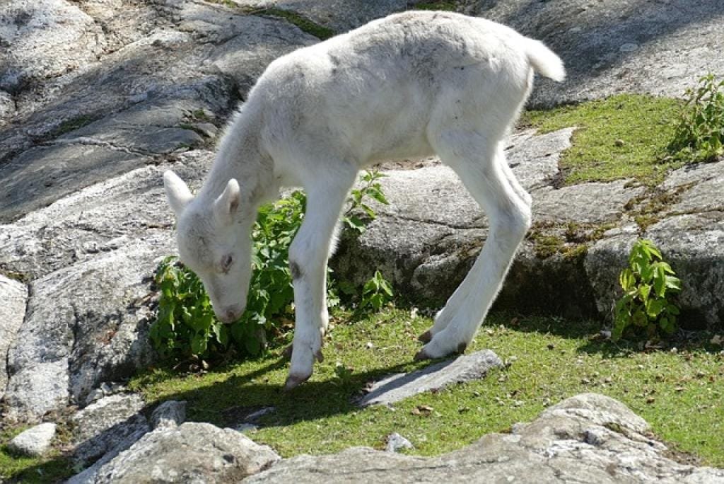 17693865065112a6viNr3lB3 inpost image