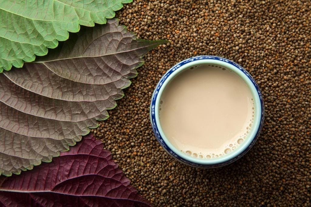 17696500865132B01ZYWyp5F