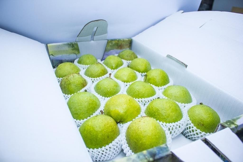 176990472751501GHvZK69Cr