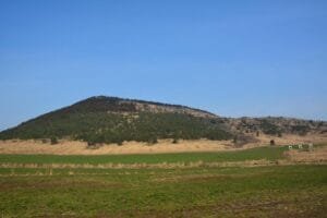 17704300255197Z9cIELLahc