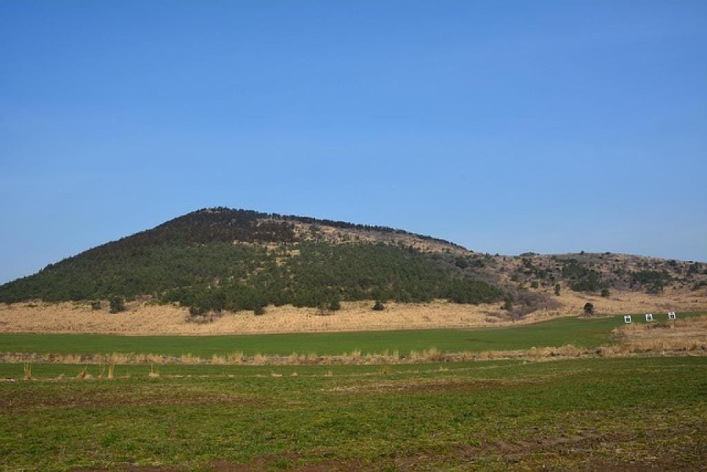 17704300255197Z9cIELLahc