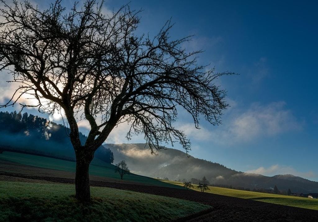 17706825055215dwbif8iXOg