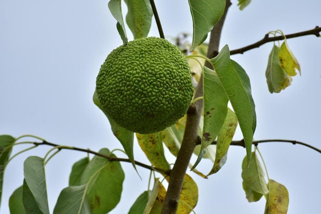 Xuan Du Fa Biao Tang: The Ultimate Guide to Your Spiritual Retreat 1 177216090353319whYAfCWWz inpost image