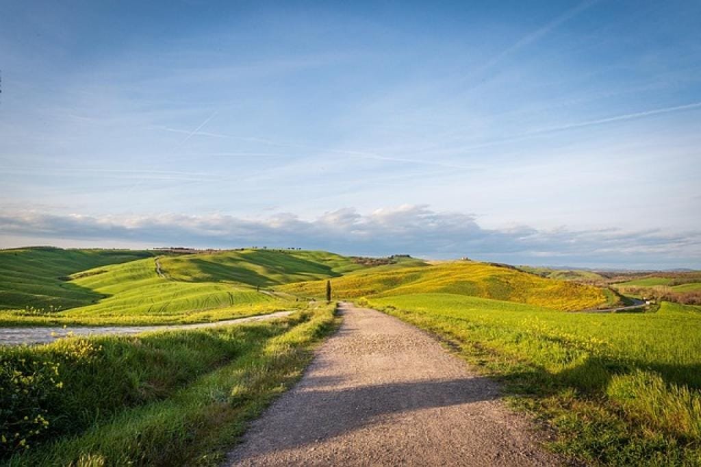 Unlocking the Secrets of Yi Huang San for Optimal Health 1 17723337045343w8195TzHqX inpost image