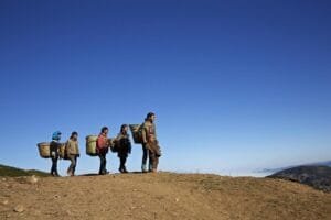 17724103885345N8i00gGK5h