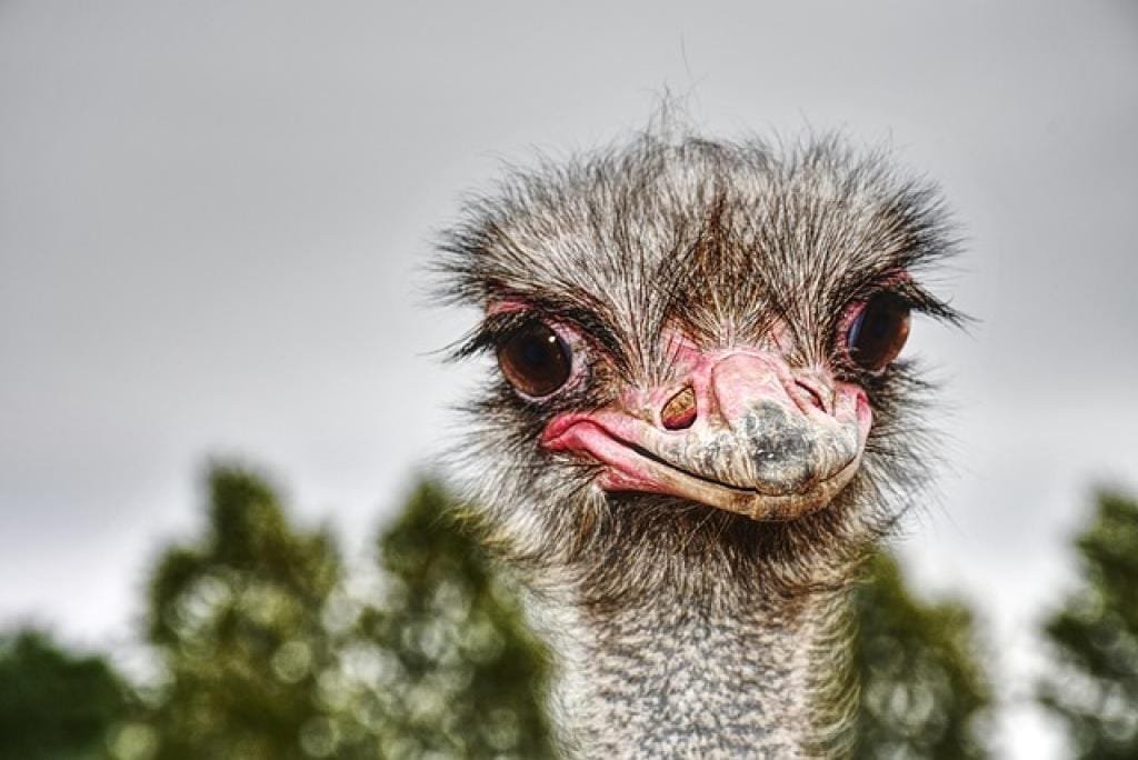 17725015275353hYMM3yMfd5