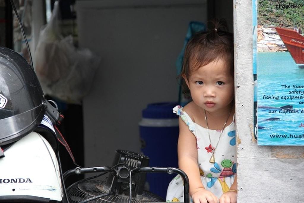 17725855275358sQi2LbLVKd