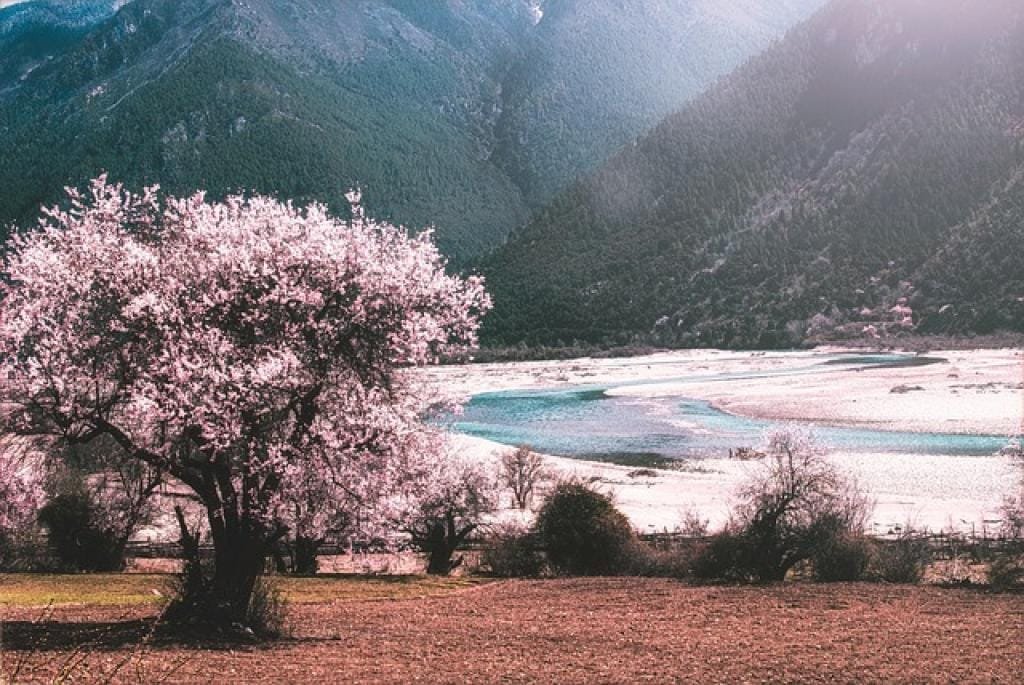 Zhi Shi Dao Zhi Wan: Mastering the Art of Knowing 3