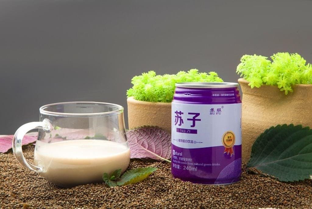 Zhi Shi Zhi Zi Chi Tang: A Comprehensive Guide to This Traditional Chinese Herbal Remedy 1 17731113695418wWK6mUsskI inpost image